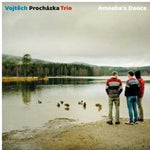the album cover for Vojt?ch Procházka Trio - Amoeba's Dance