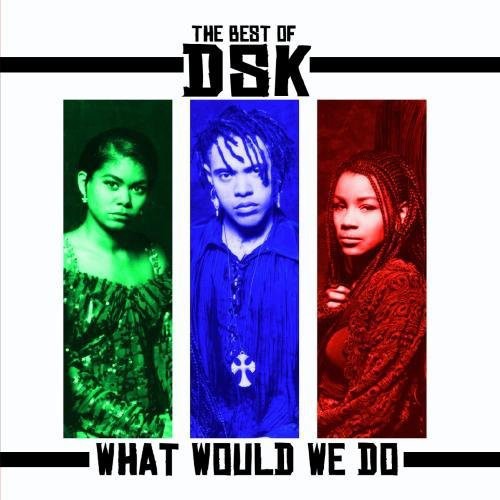 the album cover for DSK - Best of: What Would We Do