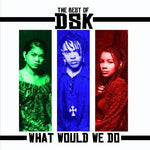 the album cover for DSK - Best of: What Would We Do