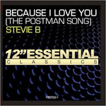 the album cover for Stevie B. - Because I Love You (The Postman Song)