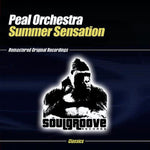the album cover for Peal Orchestra - Summer Sensation