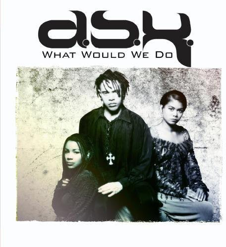 the album cover for DSK - What Would We Do