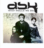 the album cover for DSK - What Would We Do