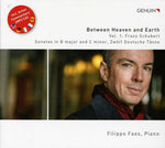 the album cover for Filippo Faes - Between Heaven & Earth 1