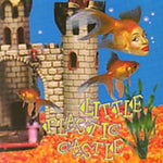 the album cover for Ani DiFranco - Little Plastic Castles (bonus Track) (jap)