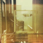 Painted Palms - Carousel (Vinyl)