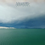 the album cover for Modest Mouse - Fruit That Ate Itself
