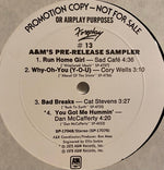 Various : Foreplay #13 (LP, Advance, Promo, Smplr)