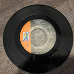 The Curfew (2) : Photogenic Jenny(7", Promo)