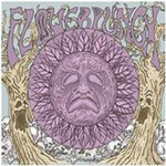 the album cover for Flower Punch - Flower Punch