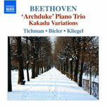 the album cover for Xyrion Trio - Piano Trios 5