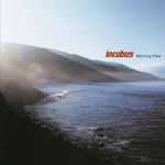 Incubus - Morning View (Vinyl)