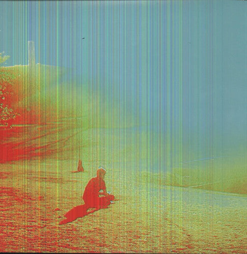 The Flaming Lips - The Terror (Vinyl)