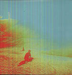 The Flaming Lips - The Terror (Vinyl)