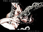 the album cover for The Amenta - Flesh Is Heir