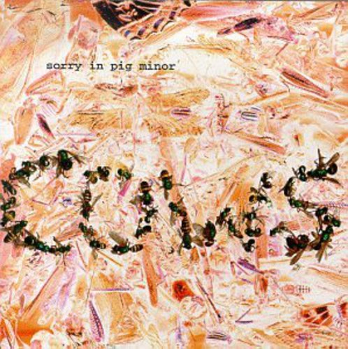 The Cows - Sorry in Pig Minor (CD)