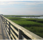 the album cover for Lorna - Heart of Wire