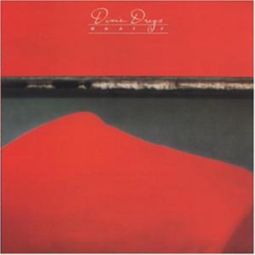 The Dixie Dregs - What If (CD)