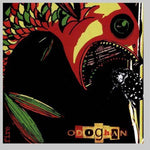 the album cover for Odoghan - Fire