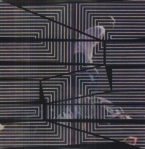 デヴィッド・グラブス - The Plain Where The Palace Stood (ビニールレコード)