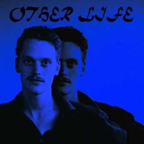 the album cover for Sean Nicholas Savage - Other Life