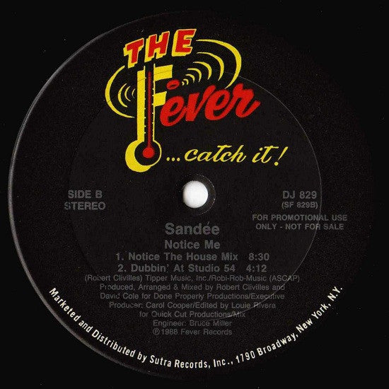 Sandée* : Notice Me (12", Promo)