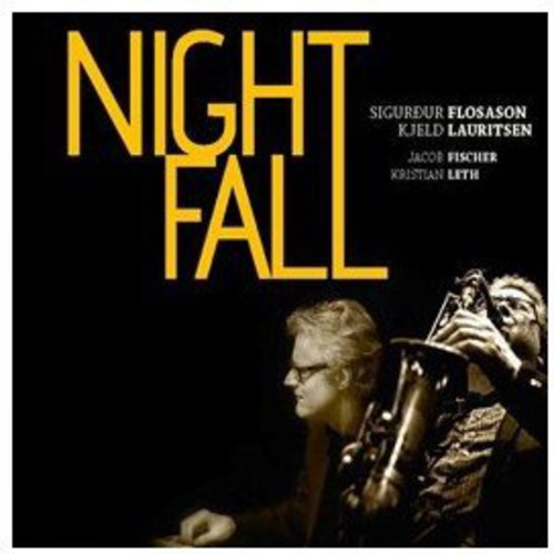 the album cover for Sigurdur Flosason - Night Fall