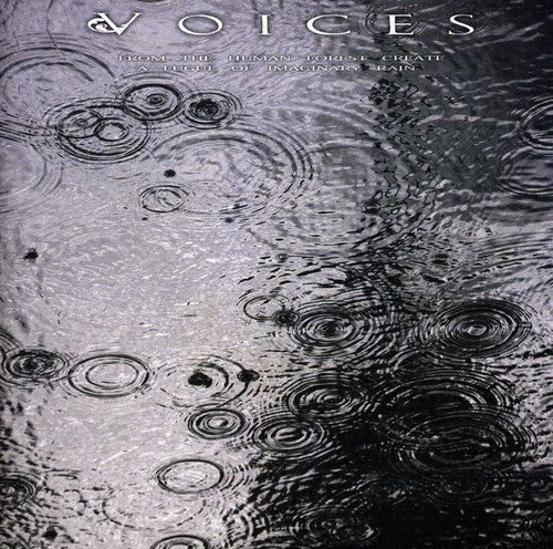 the album cover for Voices - From The Human Forest Create A Fugue Of Imaginary Rain