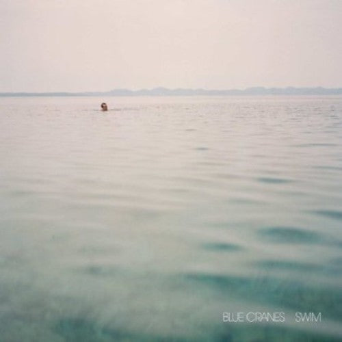 the album cover for Blue Cranes - Swim