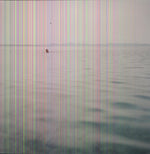 Grúas azules - Nadar (Vinilo)