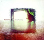 the album cover for Joel Harrison 19 - Infinite Possibility