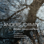 the album cover for Anders Jormin - Between Always & Never