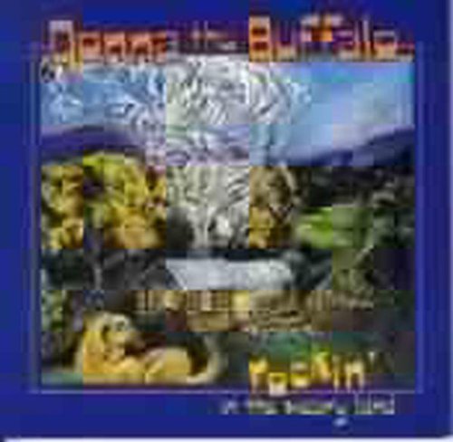 the album cover for Donna The Buffalo - Rockin' In The Weary Land