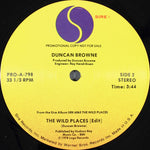 Duncan Browne : The Wild Places (12", Promo)