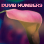 Dumb Numbers - Dumb Numbers (Vinilo)