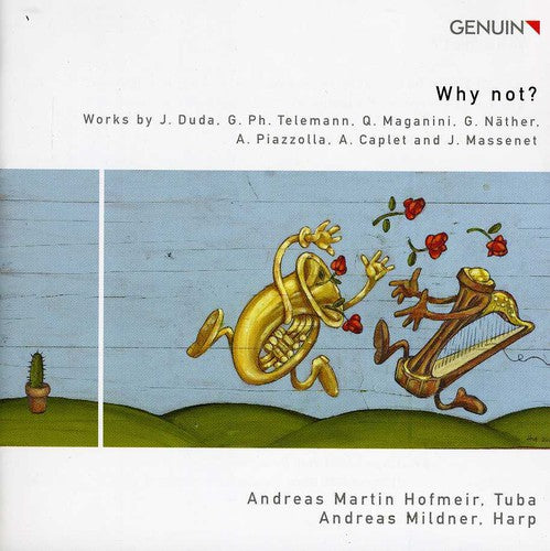 the album cover for Andreas Martin Hofmeir - Why Not