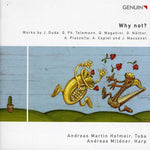 the album cover for Andreas Martin Hofmeir - Why Not