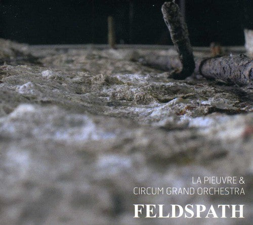 the album cover for La Pieuvre & Circum Grand Orchestra - Feldspath