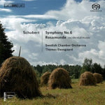 the album cover for Thomas Dausgaard - Symphony No 6