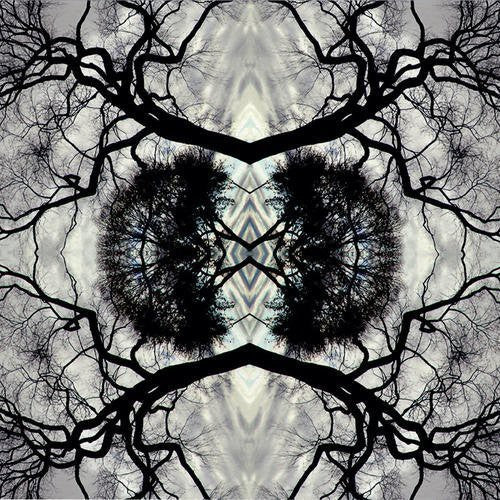 the album cover for Adam Rudolph - Sonic Mandala Go: Organic Orchestra