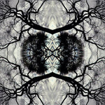 the album cover for Adam Rudolph - Sonic Mandala Go: Organic Orchestra