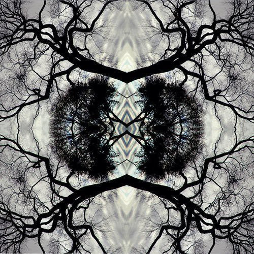 Adam Rudolph - Sonic Mandala Go: Organic Orchestra (Vinyl)