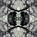 Adam Rudolph - Sonic Mandala Go: Organic Orchestra (Vinyl)