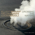 the album cover for Lucas Niggli - Crossing the Waters