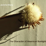 the album cover for Bradley Lubman - Character of American Sunlight