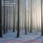 the album cover for Donald Nally - Christmas Daybreak