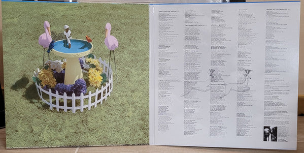 Steely Dan : Two Against Nature (2x12", Album, Ltd, RE, RM, 180)