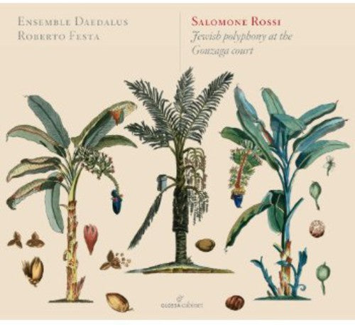 the album cover for Rossi / Festa / Ensemble Deadalus - Jewish Polyphony at the Gonzaga Court