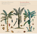 the album cover for Rossi / Festa / Ensemble Deadalus - Jewish Polyphony at the Gonzaga Court