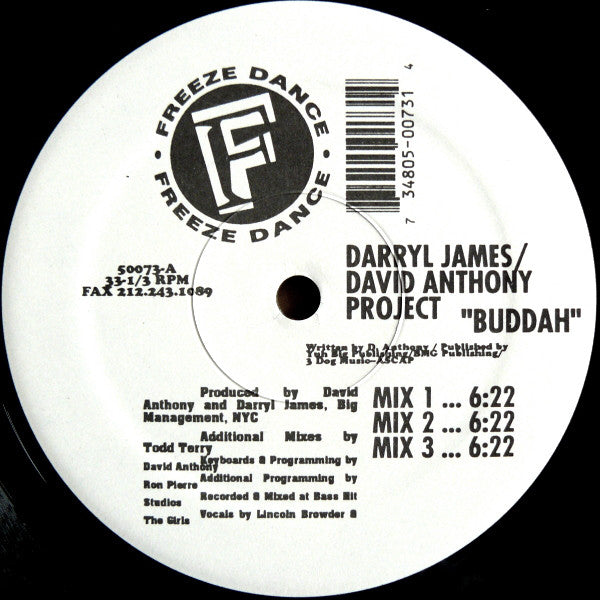 Darryl James / David Anthony Project* : Buddah / It's Gettin' Bigger (12")
